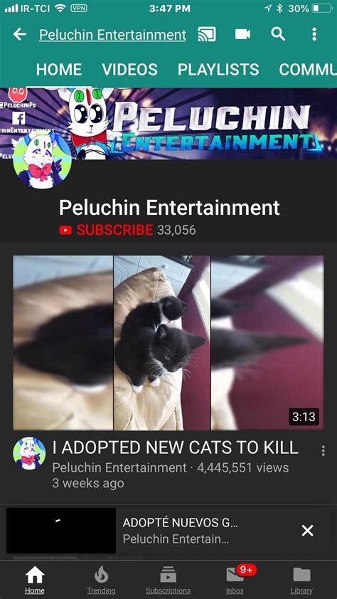 peluchin entertainment kills cat video|Peluchin Entertainment 